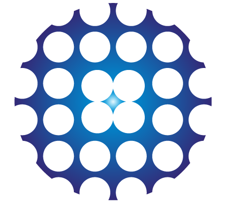 POLASTECH logo